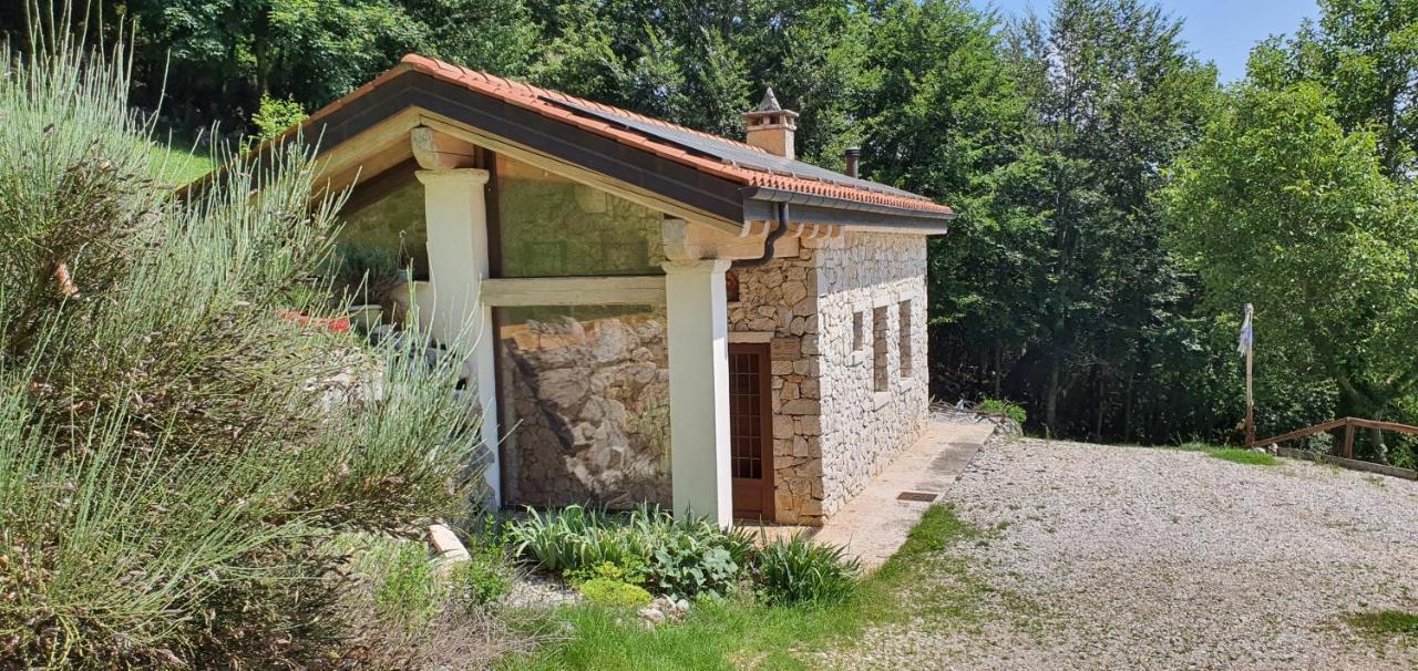 I Piccoli Del 12 — hotel in Borso Del Grappa