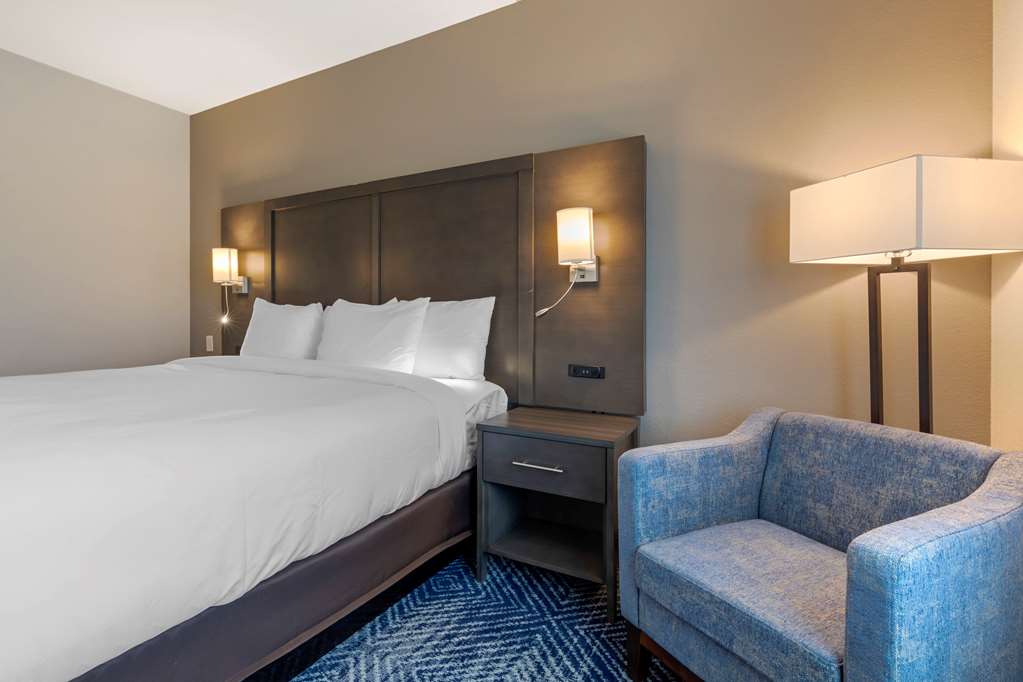 Comfort Inn & Suites Balch Springs SE Dallas - photo 7