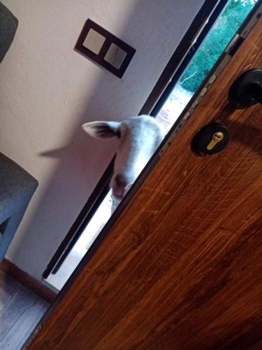 El Girasol Yellowstone in Chiclana De La Frontera, Spain