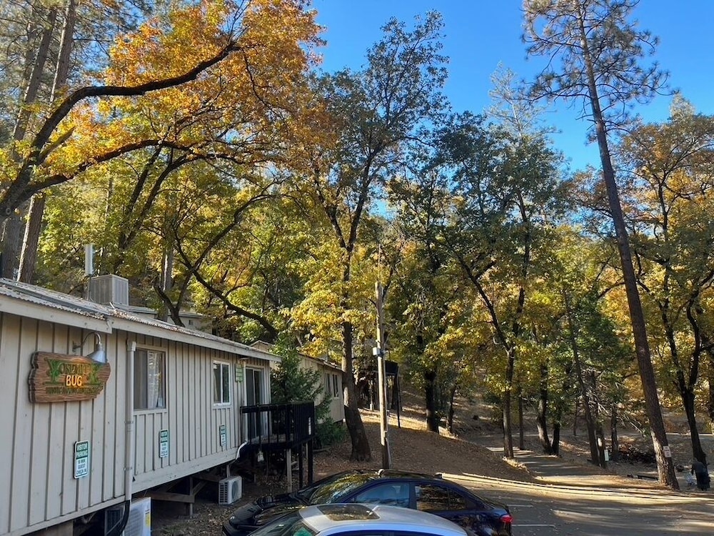 Yosemite Bug Rustic Mountain Resort - photo 139