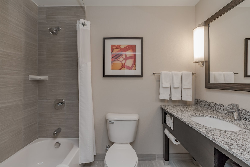 Holiday Inn Mishawaka by IHG - photo 22