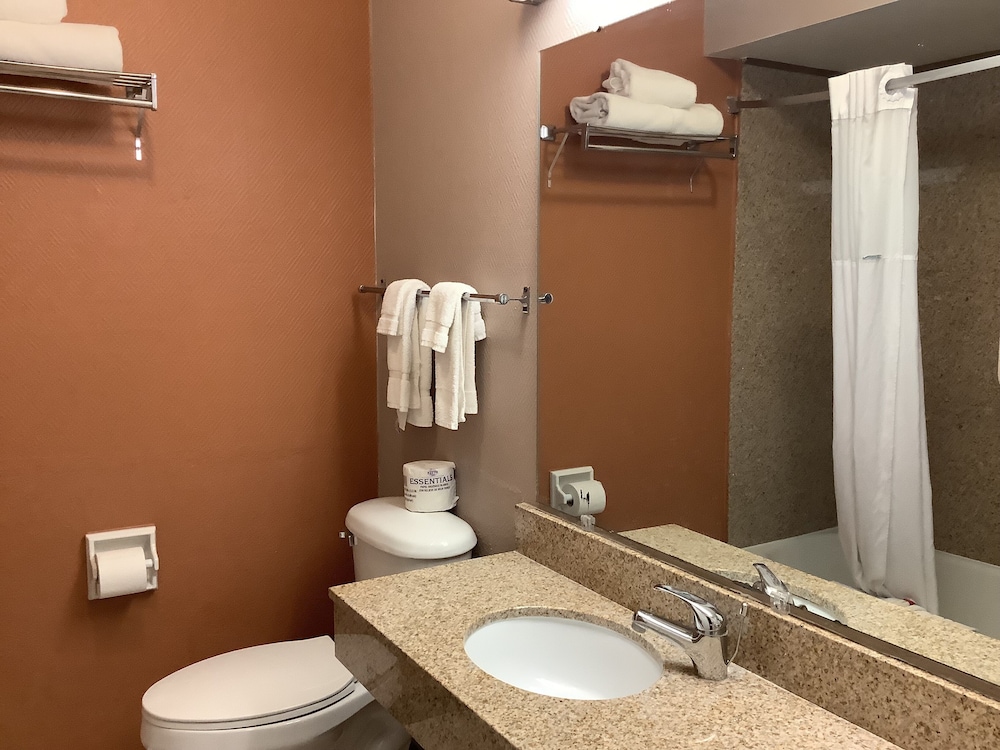 Silver Spur Vintage Inn & Suites - photo 51