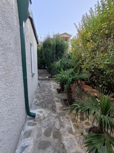 guest house Calma