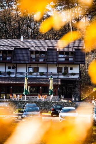 Hunter Vip - carbon neutral hotel in Reghin