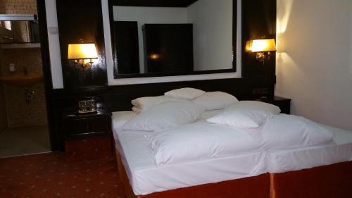 Conacul Balta Alba - carbon neutral hotel in Balta Alba