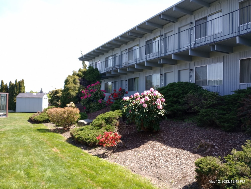 Cocusa Motel - photo 127
