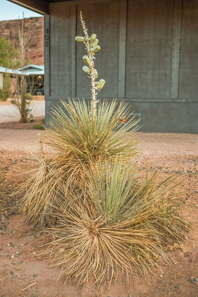 Marble Canyon Lodge - photo 182