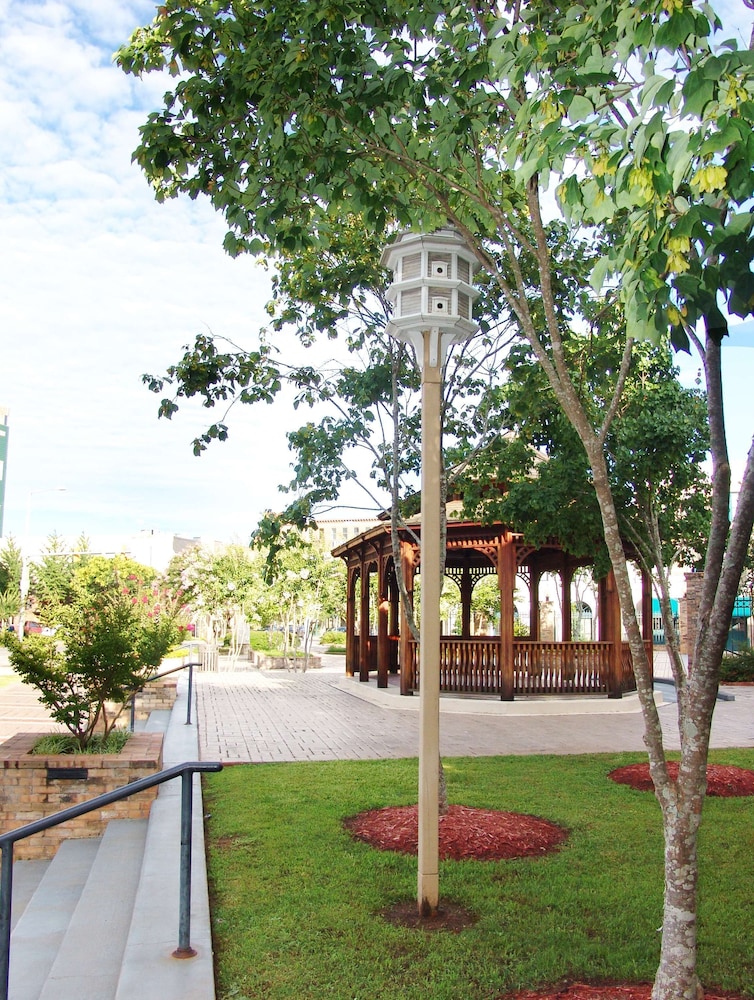 Hilton Garden Inn Meridian - photo 25