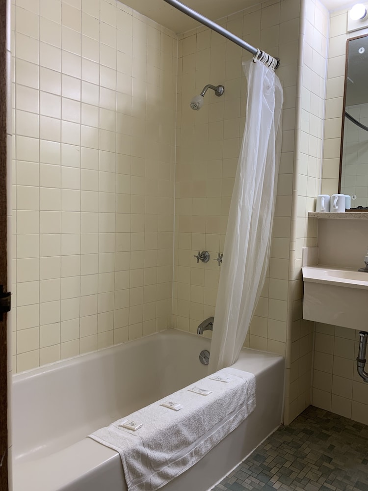 Lincoln Lodge - photo 13