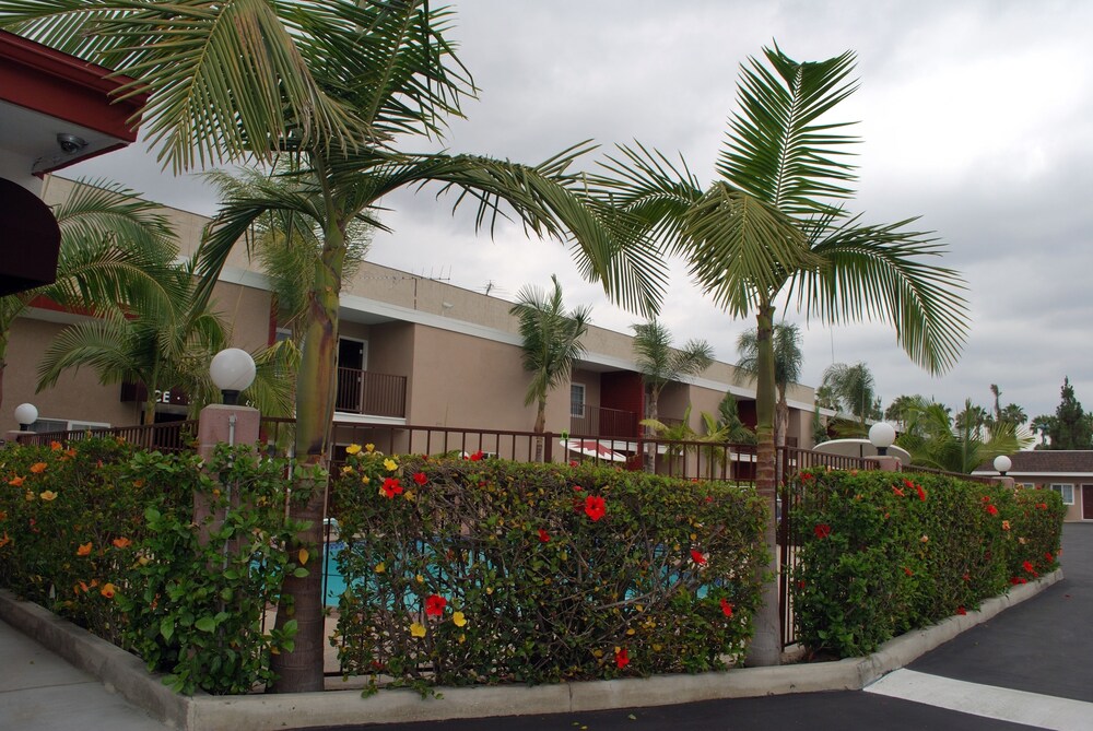 Budget Inn Anaheim - photo 20