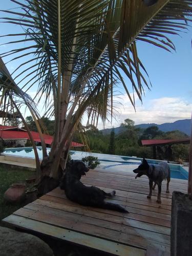 La casona de la loma Ibague in Ibague, Colombia