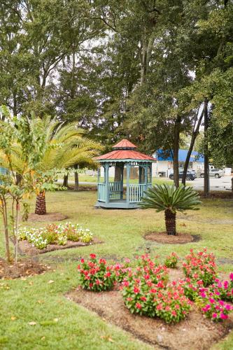 Carole Motel - photo 9