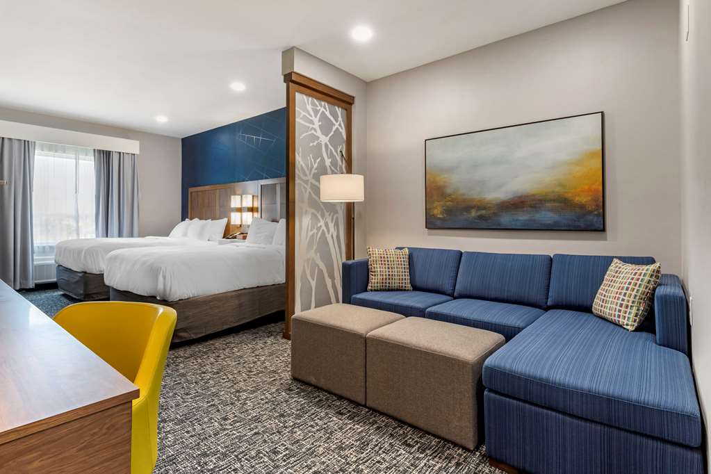 Comfort Suites Greenville Airport - photo 15