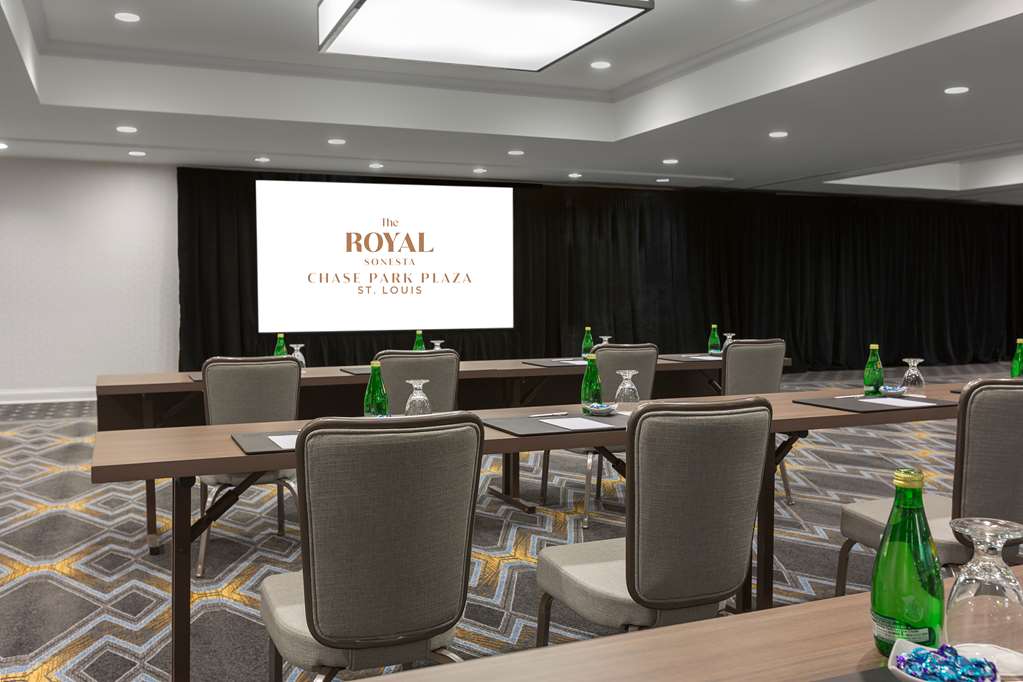 The Royal Sonesta Chase Park Plaza St. Louis - photo 40