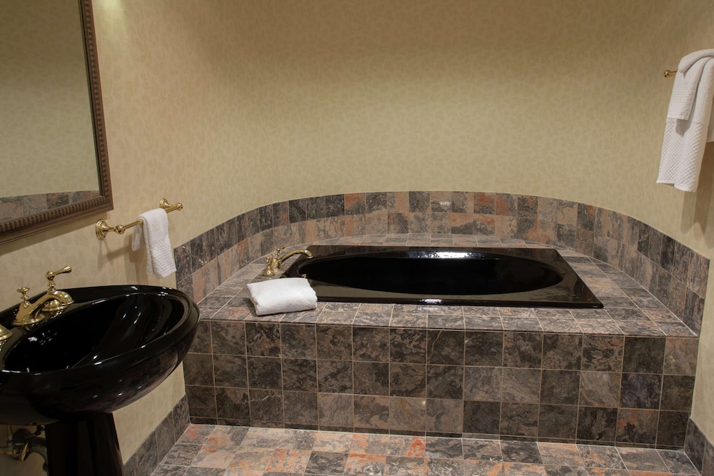President Abraham Lincoln Springfield DoubleTree by Hilton - photo 41