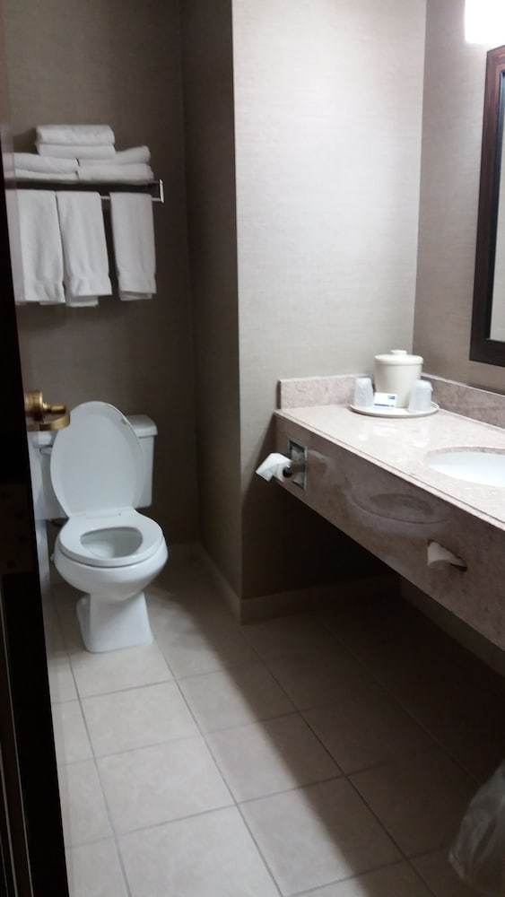 Holiday Inn Express Hotel & Suites Waterford by IHG - photo 54