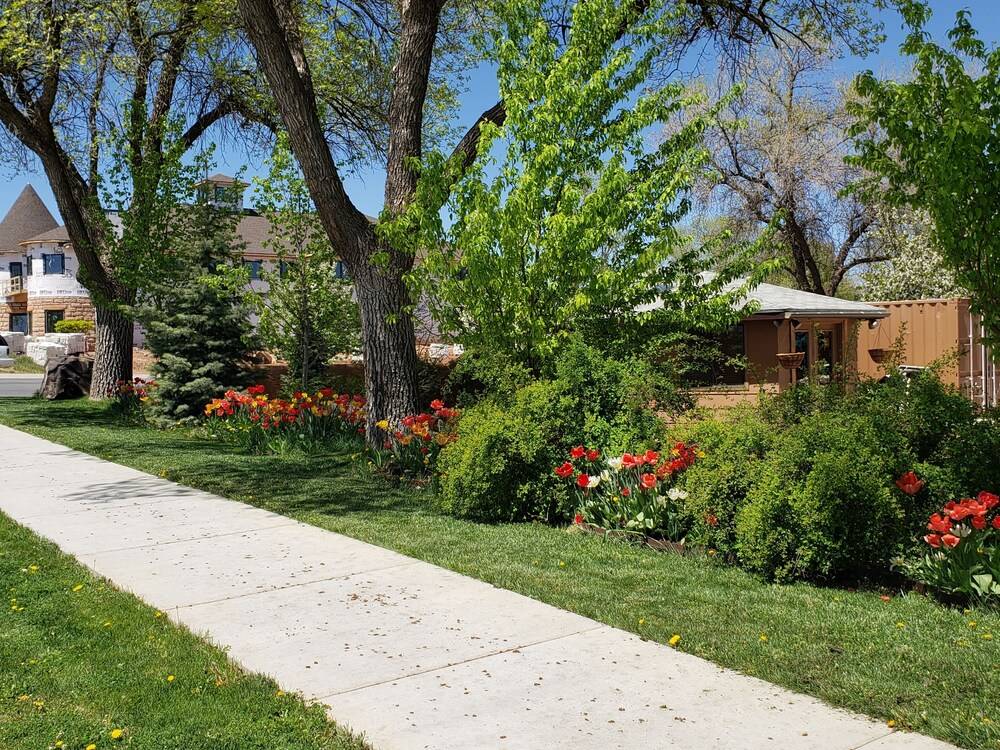 Stone Lizard Lodging - photo 29