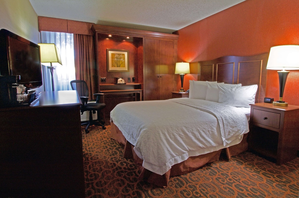 Hampton Inn Norfolk Chesapeake - photo 7