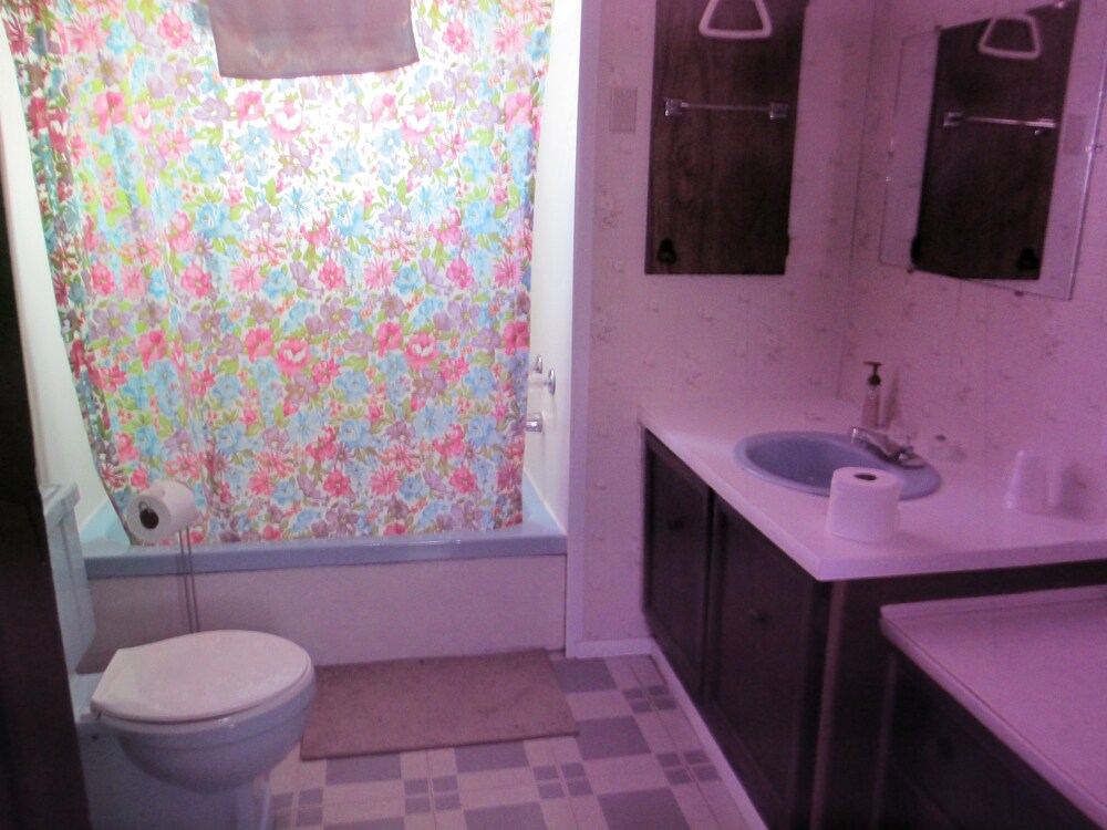 Bad Axe Motel - photo 12