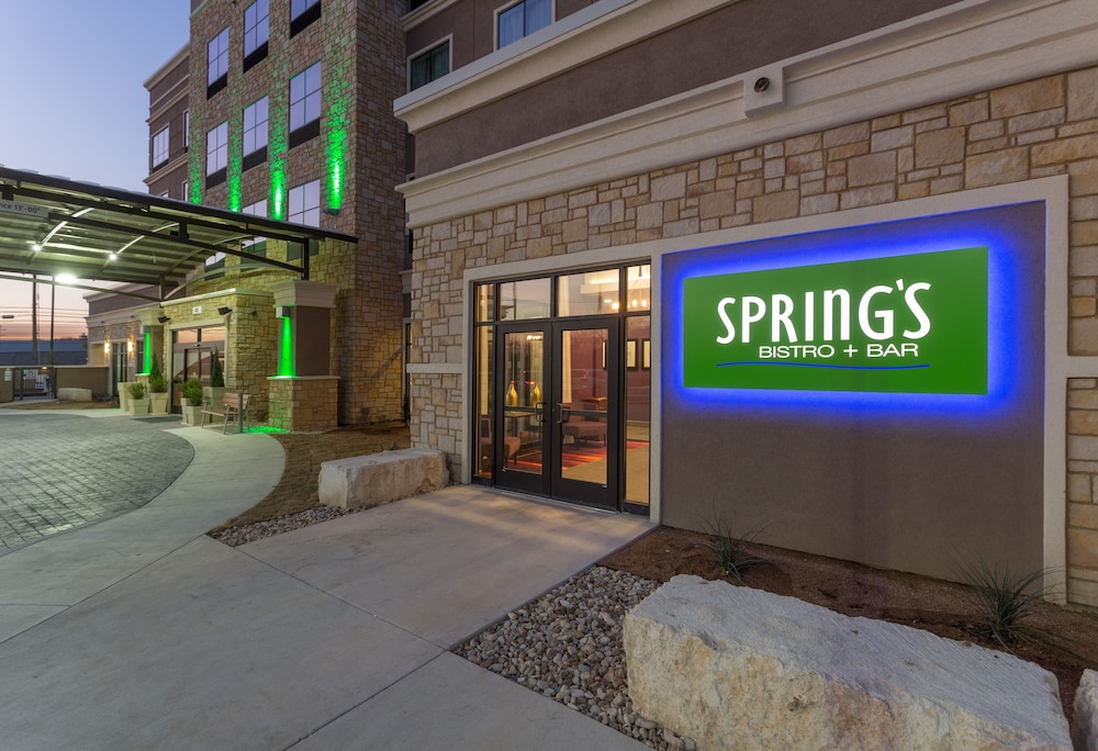 Holiday Inn San Marcos Convention CTR Area by IHG - photo 35