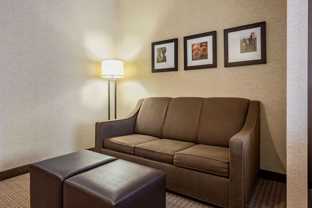 Comfort Suites Hotel and Conference Center - photo 16