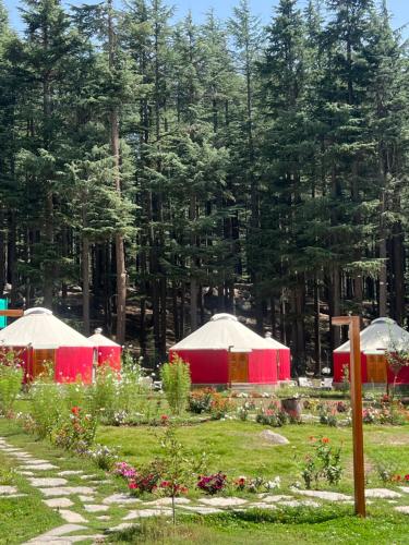 The Glamping Spot Kalam - last minute hotel in Unknown City