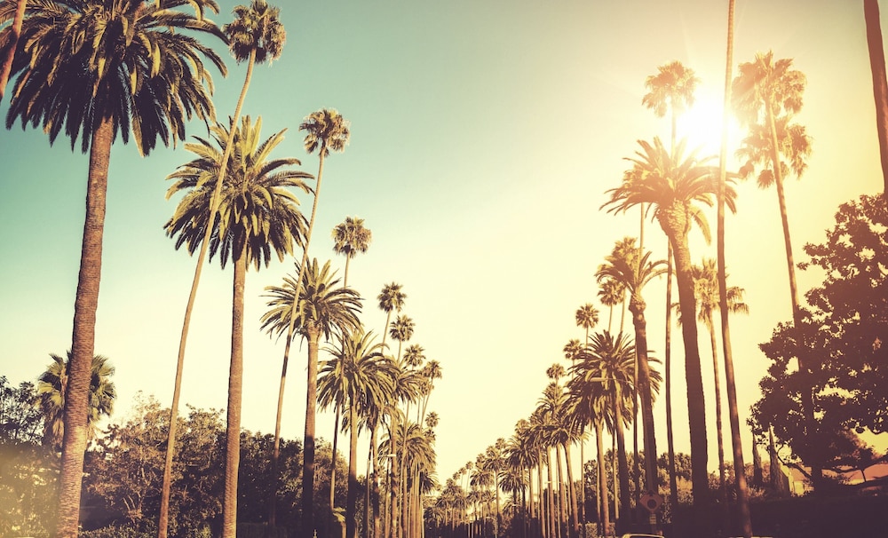 Kimpton Hotel Wilshire by IHG - photo 54