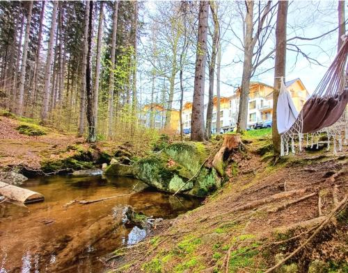 Apartament Kilińskiego 17A 9 — 4-Star Luxury Hotel in Szklarska Poreba, Poland