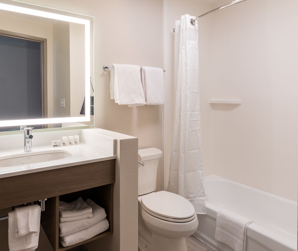 Holiday Inn Express & Sts Englewood Denver South - photo 22