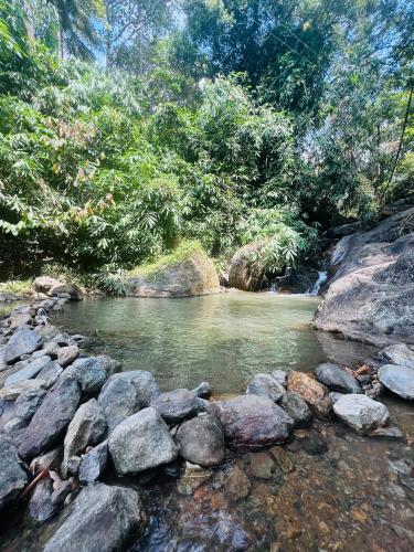 Mount court munnar - carbon neutral hotel in Munnar
