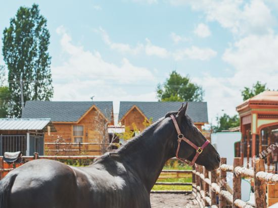 Mewsinn in Zhaosu, People's Republic of China