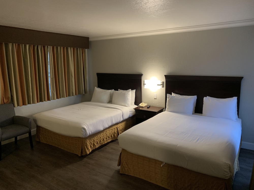 Stargazer Hotel - photo 20