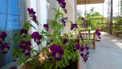 Country House Uliana