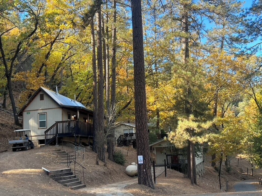 Yosemite Bug Rustic Mountain Resort - photo 142