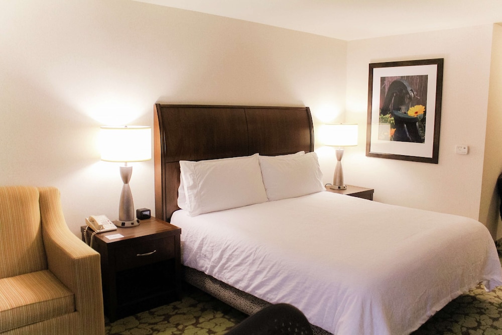 Hilton Garden Inn Redding - photo 30