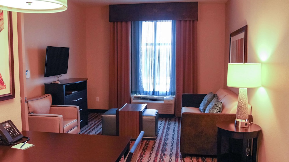 Homewood Suites by Hilton North Houston Spring - photo 8