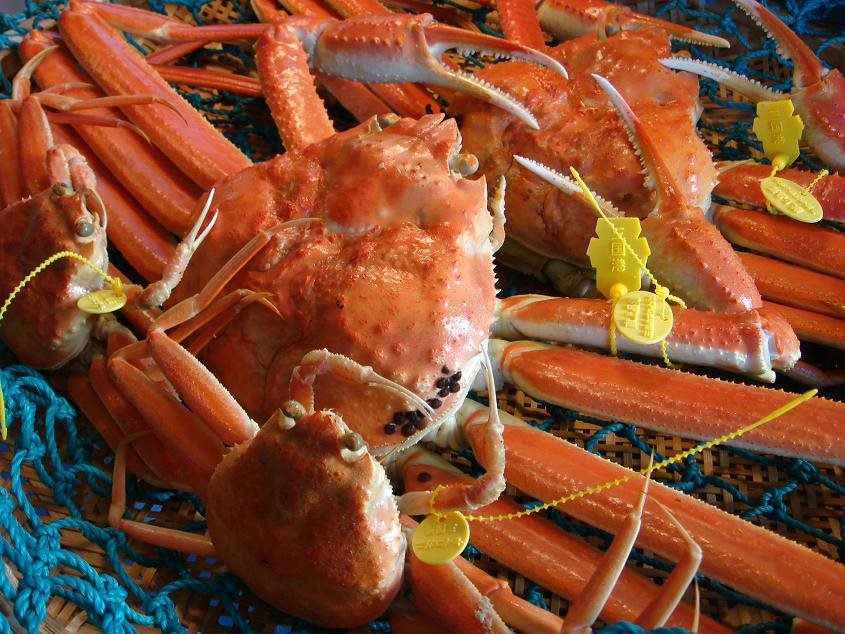 Onsen Ryori Minshuku Mikuniya in Sakai, Japan