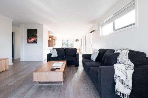 Modern & Convenient in Newstead — hotel in Newstead