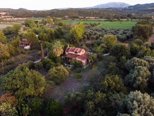 Villa Polytimi — Vonitsa — photo 4