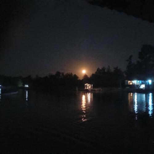 Mi Refugio Cabaña — Tigre — photo 4
