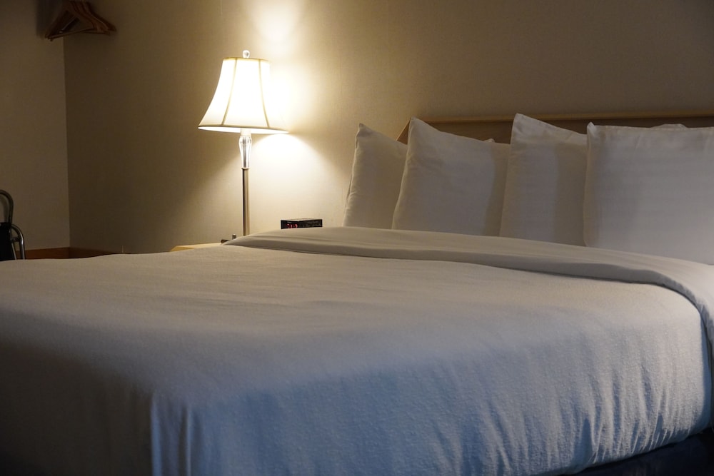 Timberland Inn & Suites - photo 35
