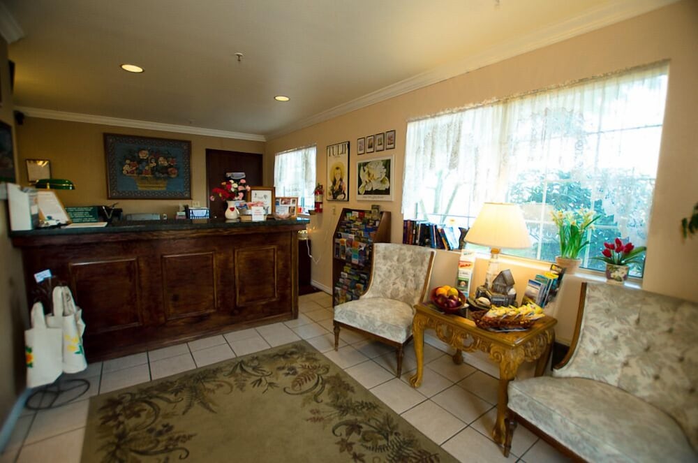 Tulip Inn - photo 3