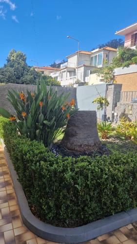 Vila Boa Nova Funchal — 4-Star Luxury Hotel in Funchal, Portugal