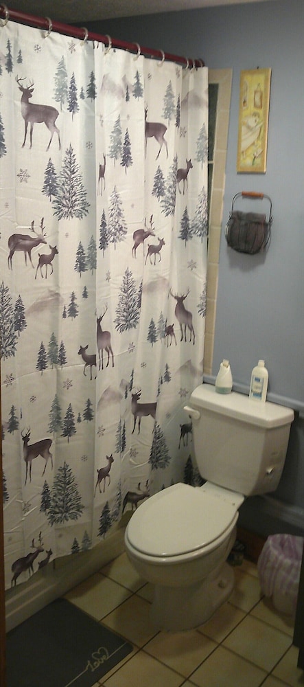 Lil Black Bear Inn - photo 85