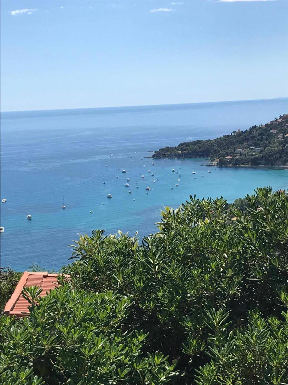Il mare tra gli olivi in Ventimiglia, Italy