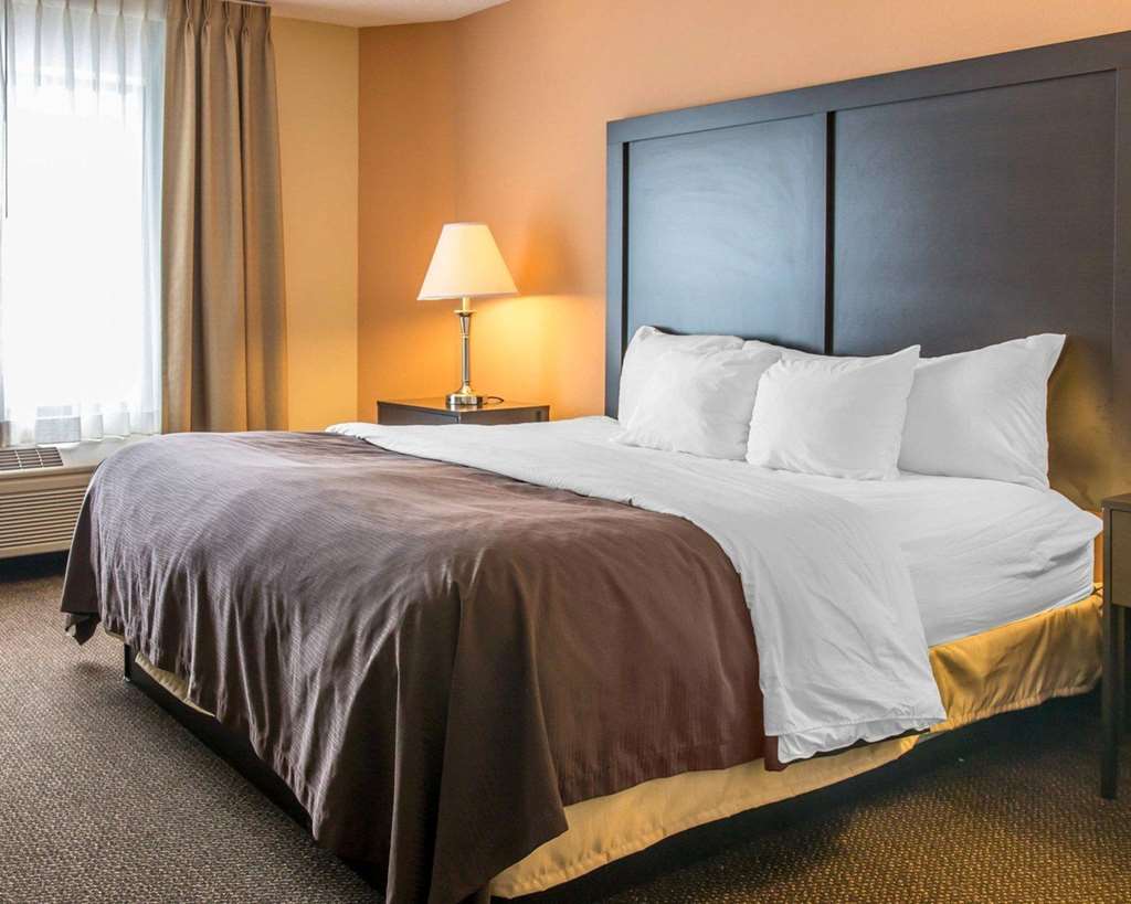Quality Inn & Suites Niles - photo 23