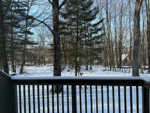 Eagle Village Resort - photo 17