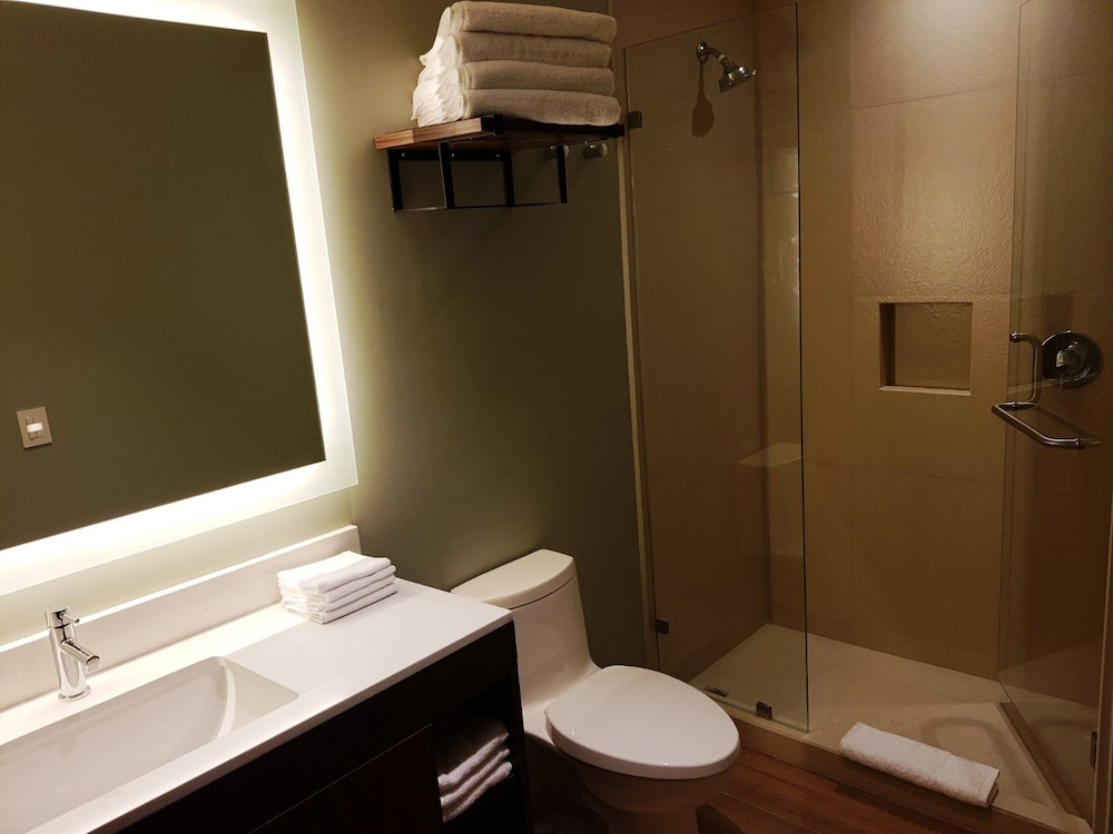 Staybridge Suites Guadalajara Novena by IHG