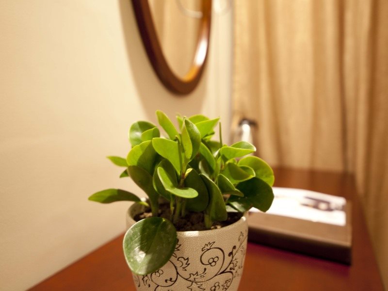 GreenTree Inn - carbon neutral hotel in Xinyi