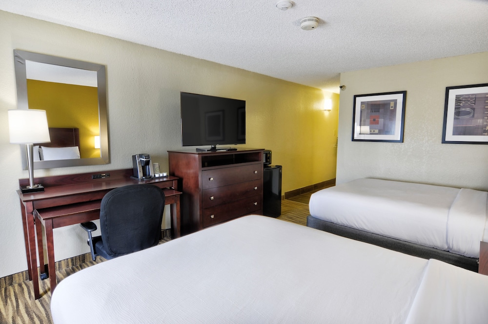 Holiday Inn St Petersburg N Clearwater by IHG - photo 7
